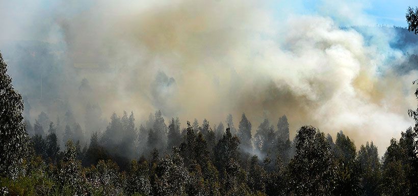 incendio forestal