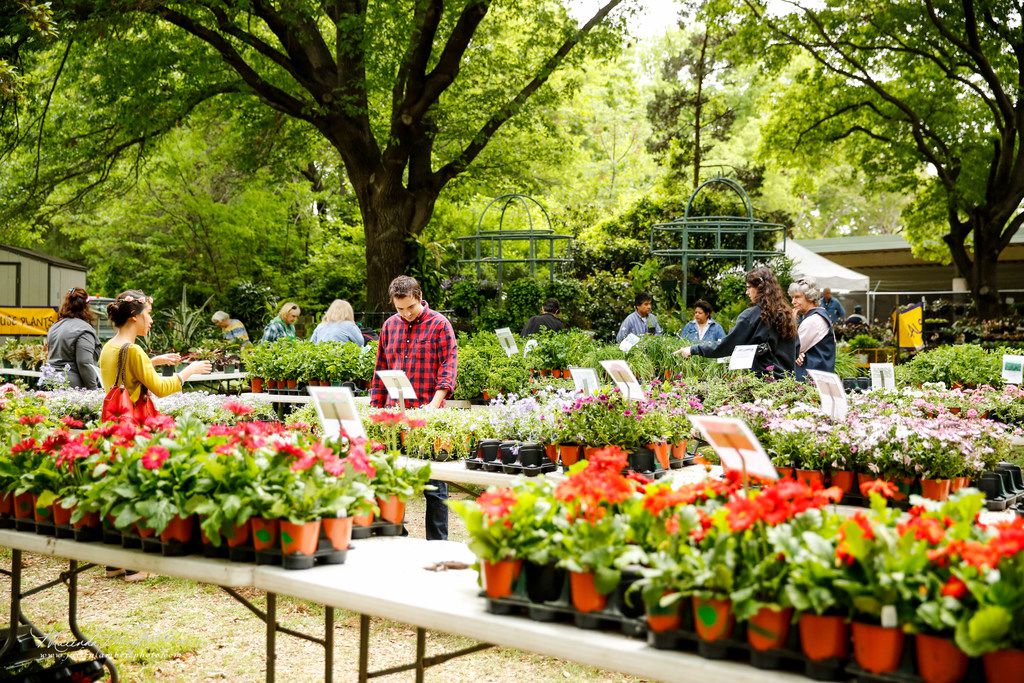 14 Must See North Texas Garden Events To Get You In The Mood For