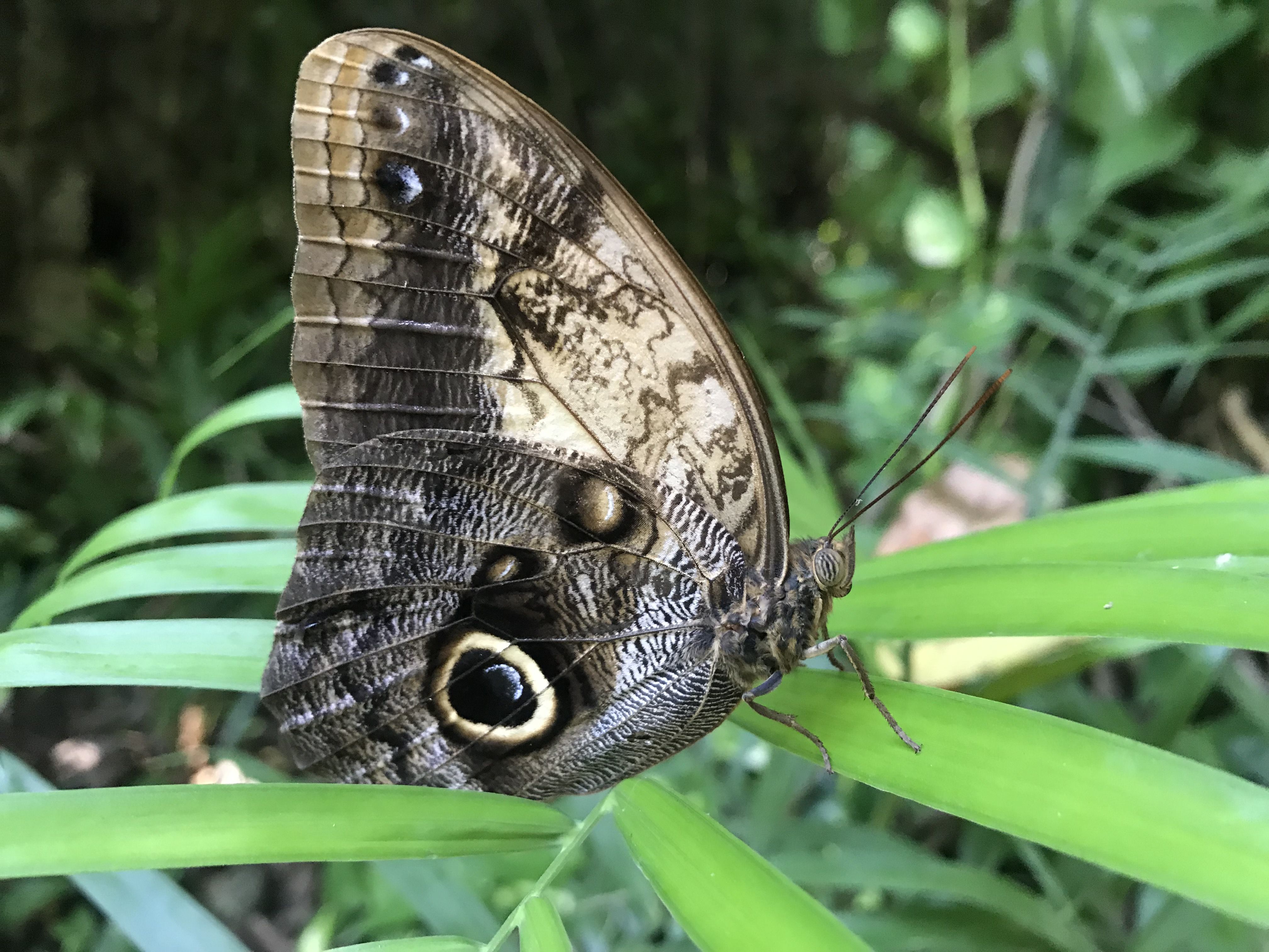 biodiversidad / JMJ