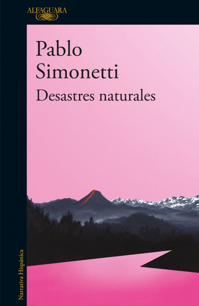 Simonetti_Desastres-naturales.jpg