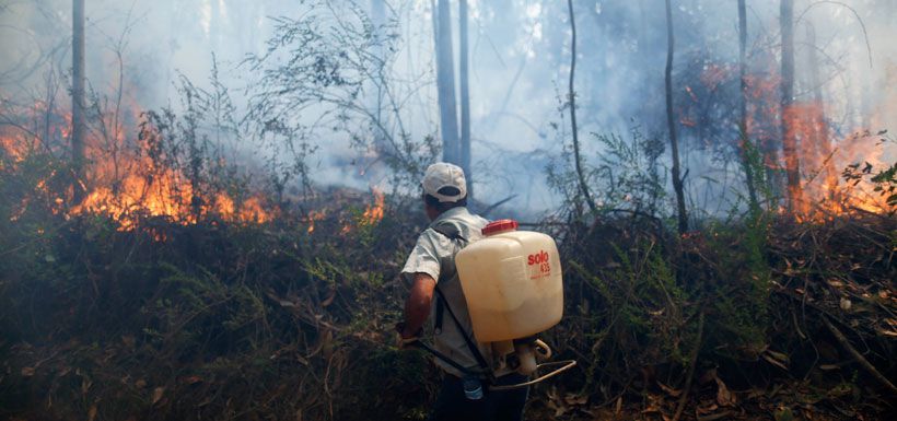 incendio-forestal