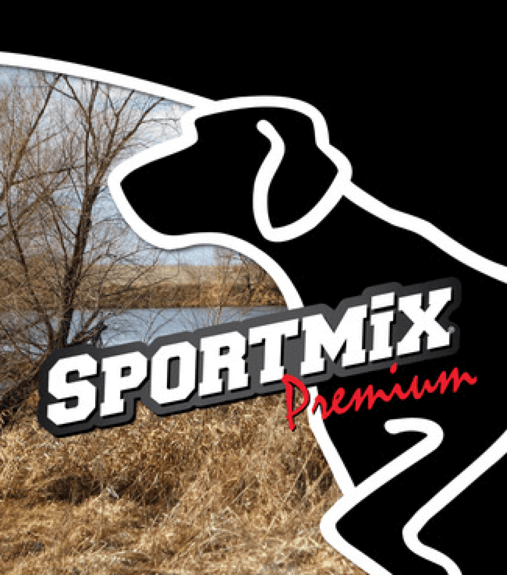 Dog food outlet sportmix