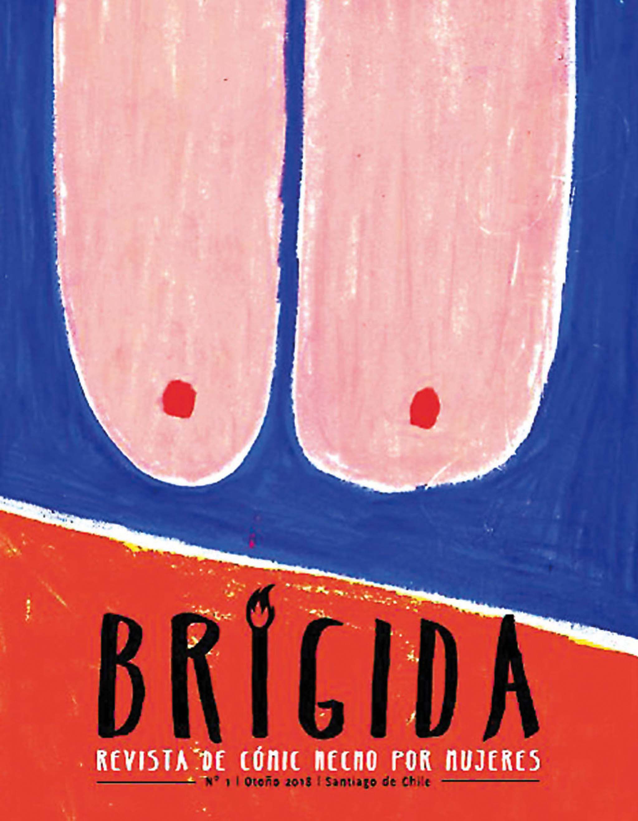 Imagen-portada-revista-Brigida.jpg