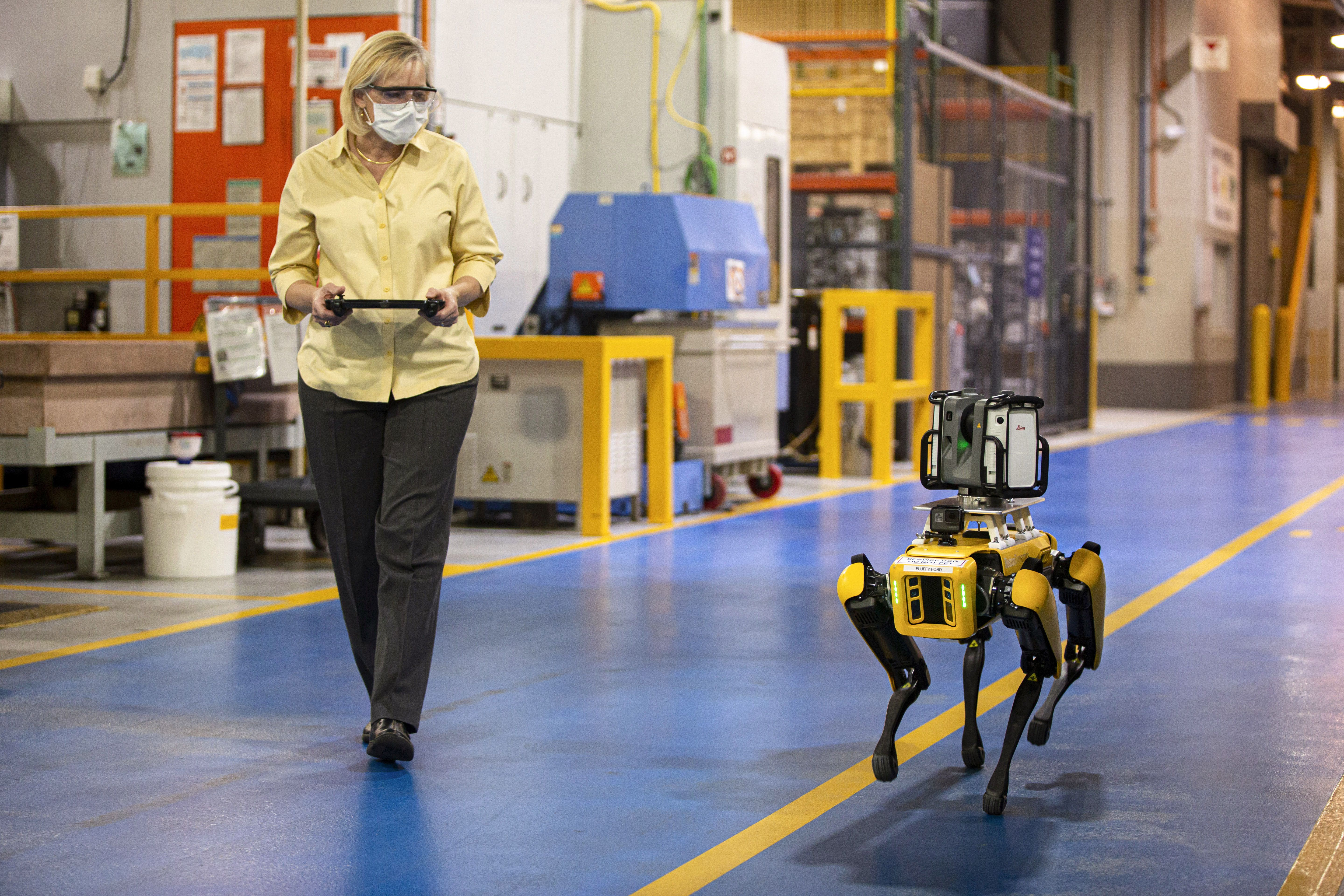 Perros robots de ford