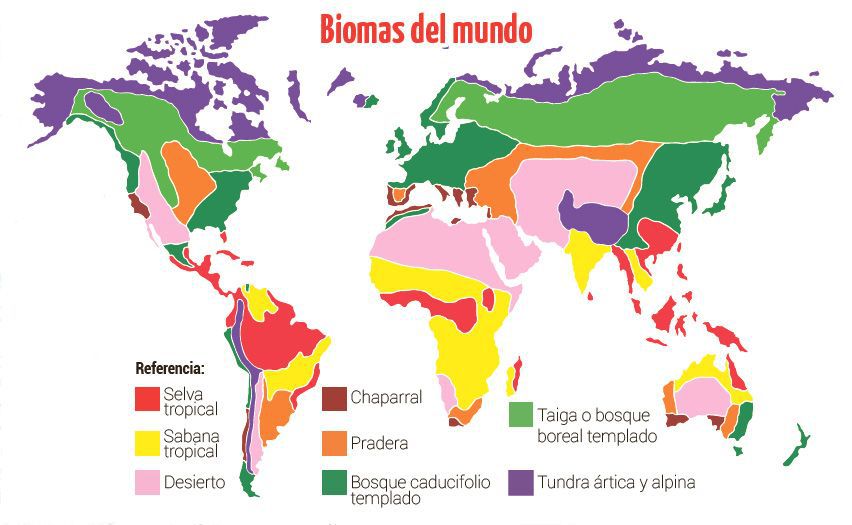 mapa del bioma de la tundra ártica y alpina