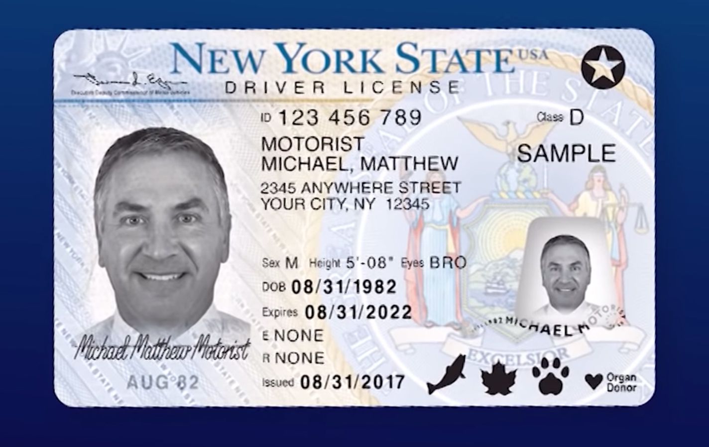 renew license ny expired residency