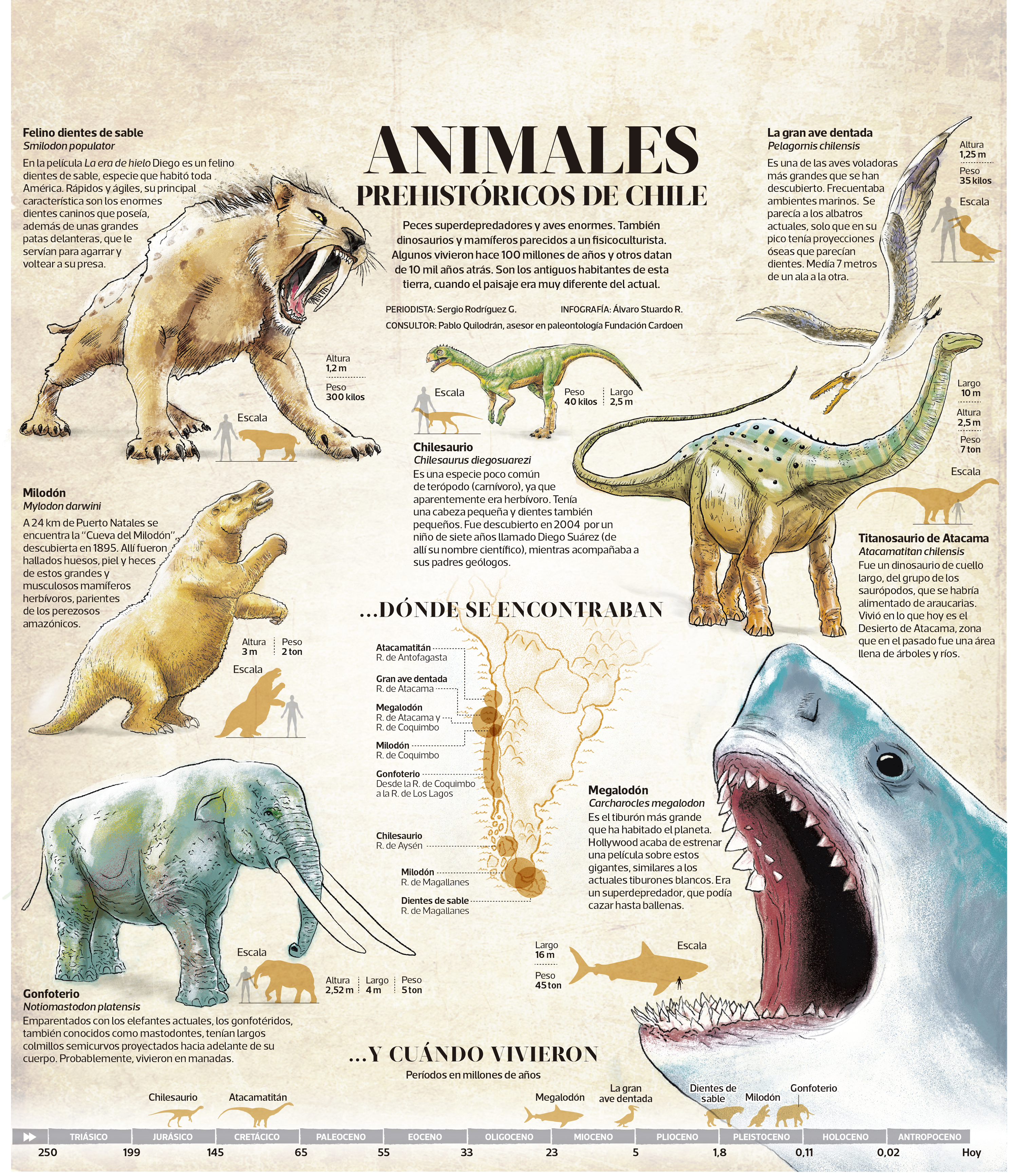 LT-Animales-fantasticos-chileOK.png