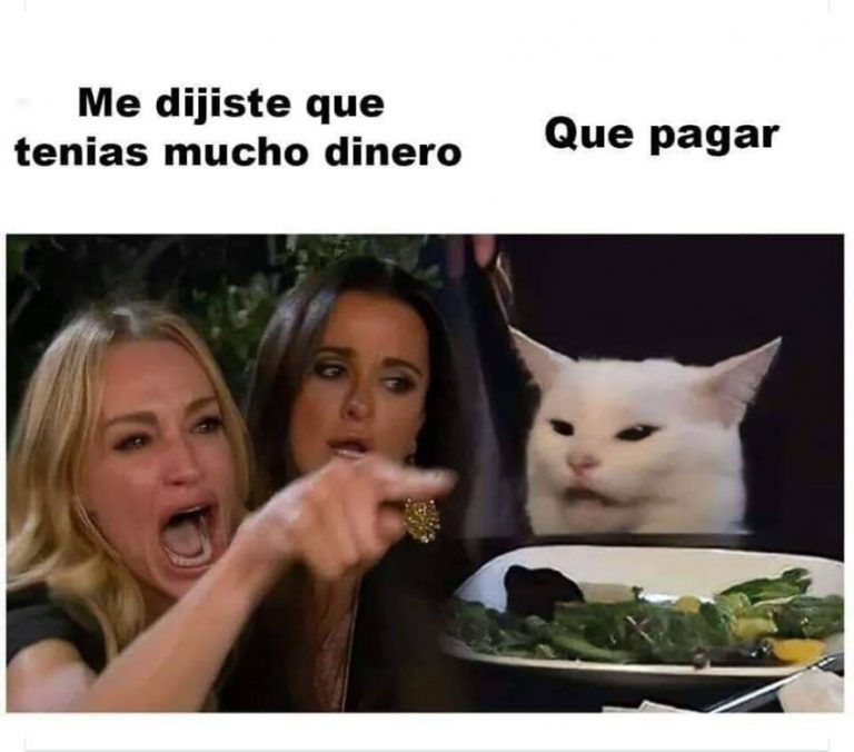 Featured image of post The Best 25 Gato Diciendo Duren Meme