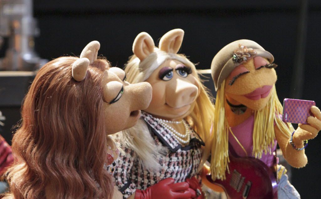 Kermit and Miss Piggy: Muppets Now should retire their relationship.