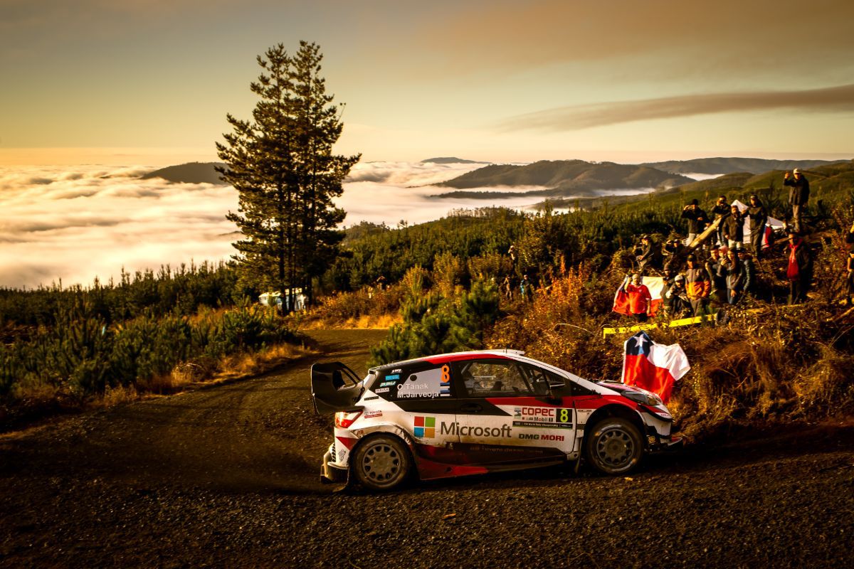 WRC_2019_Rd6_232