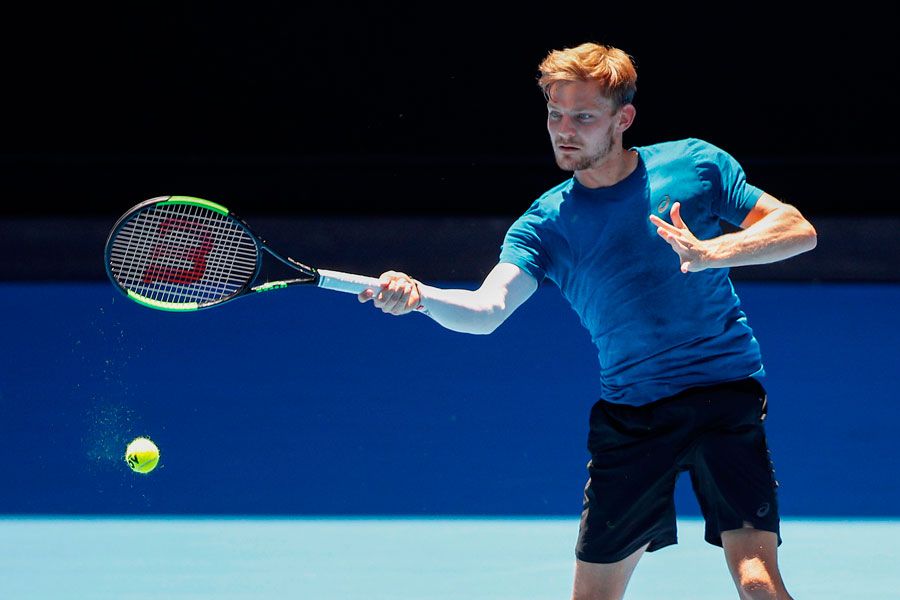 David Goffin