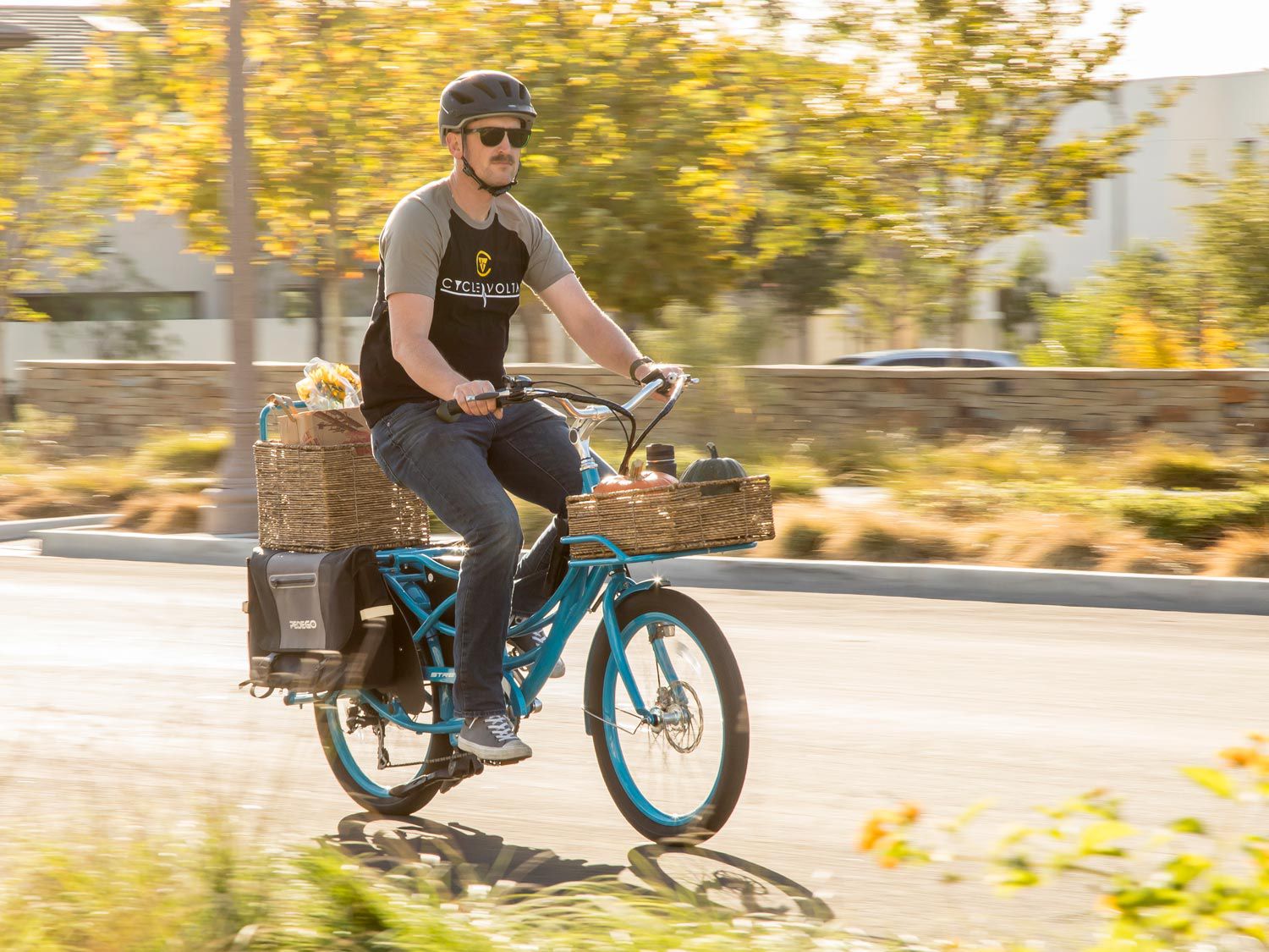 2019 pedego stretch electric best sale cargo bike