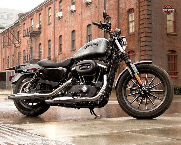 Harley-Davidson-XL883-600x480.jpg