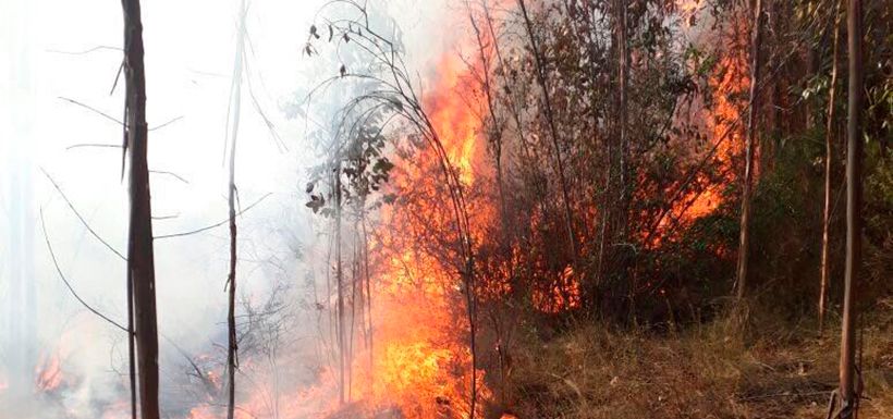 incendio placilla