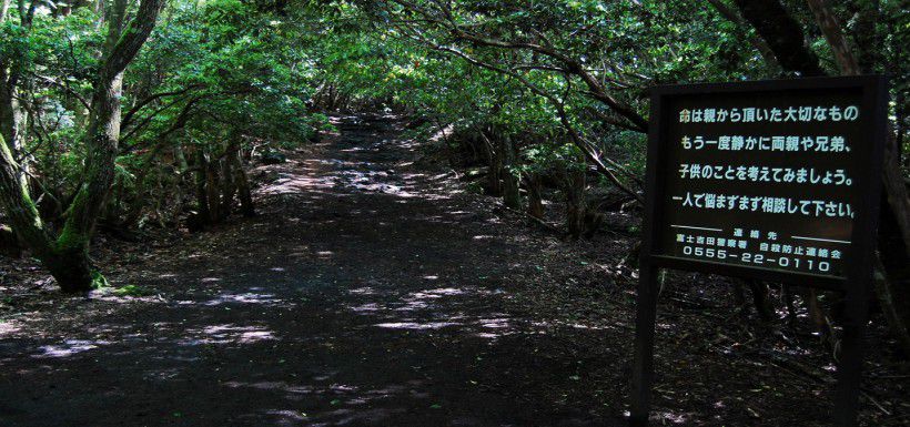 Aokigahara-pathway.jpg