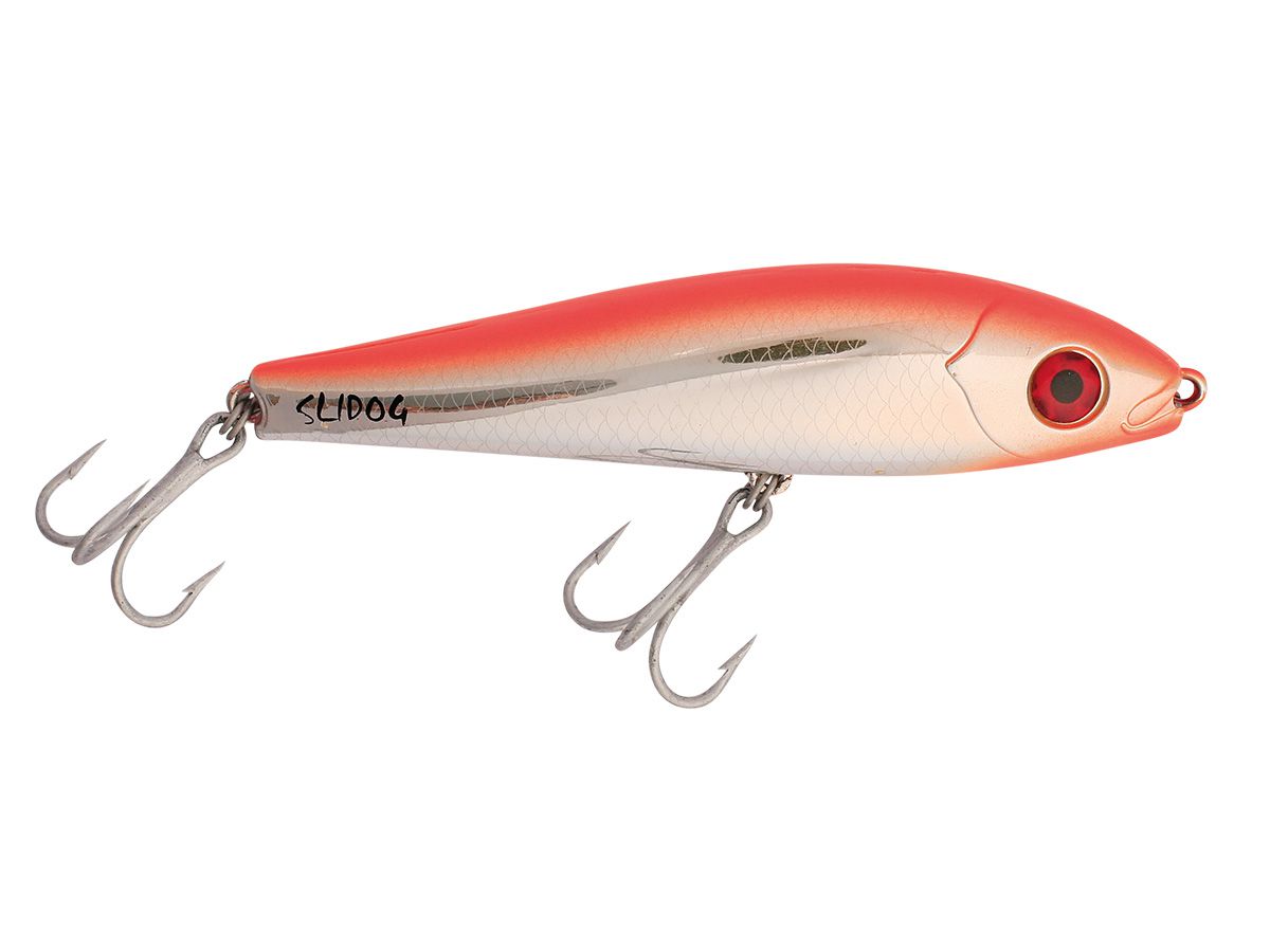 Best Topwater Lures For Saltwater Fishing Sport Fishing Magazine