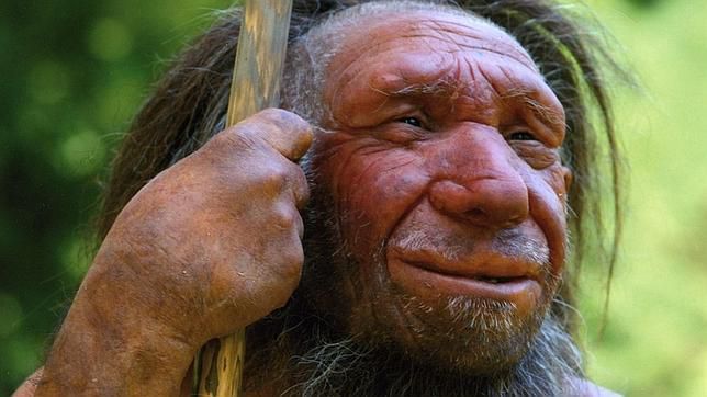 neandertal-museo-2-644x362