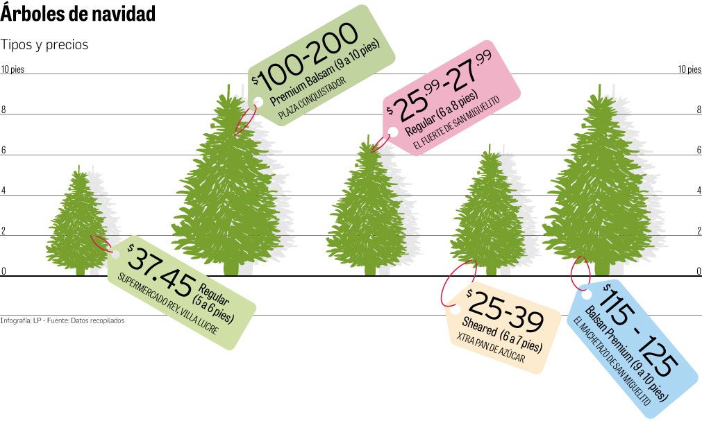 Cuánto cuesta el típico árbol que adorna los hogares de Panamá en Navidad?  | La Prensa Panamá