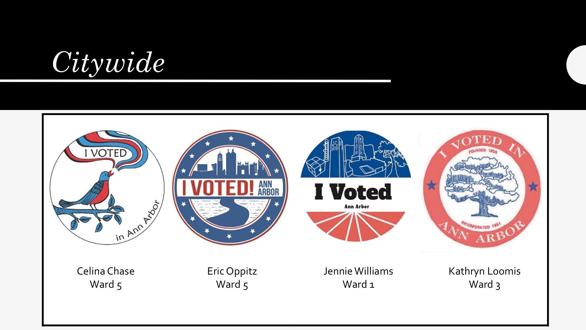 I Voted Stickers: Stars Decor by Integrated Social Studies