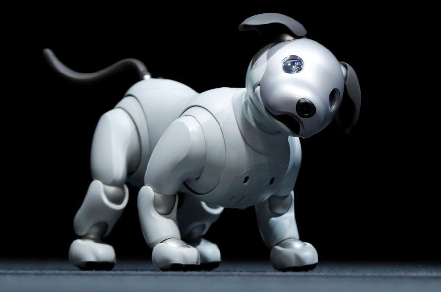 Sony Corp's entertainment robot "aibo" is pictured at a news conference in Tokyo