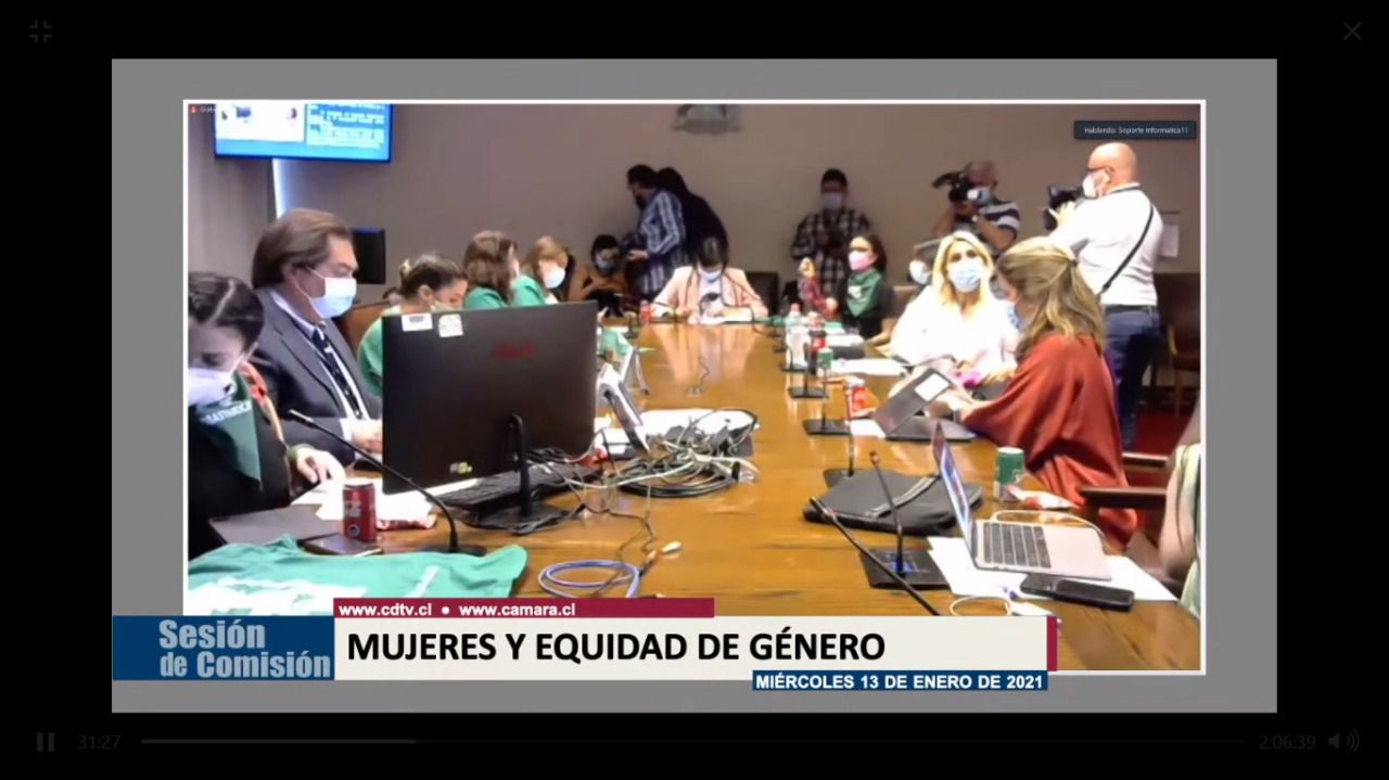 Comisión de Mujer y Equidad de Género