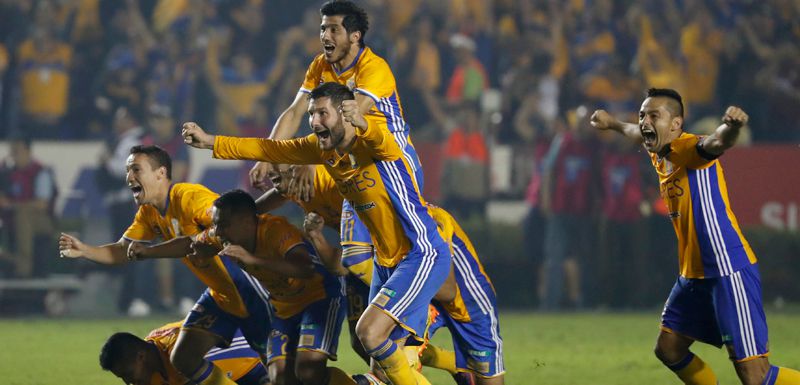 tigres