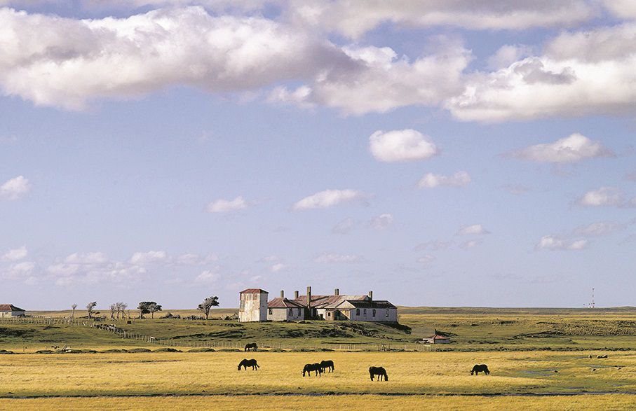 patagoniamena1