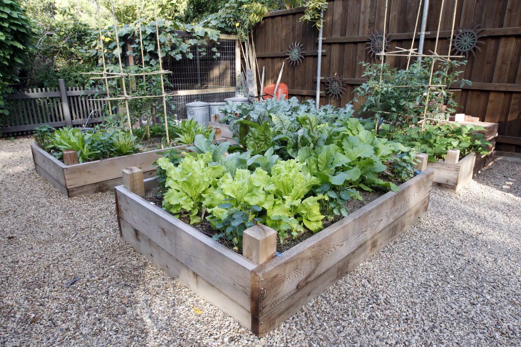 Make This The Year You Finally Get That Garden Started