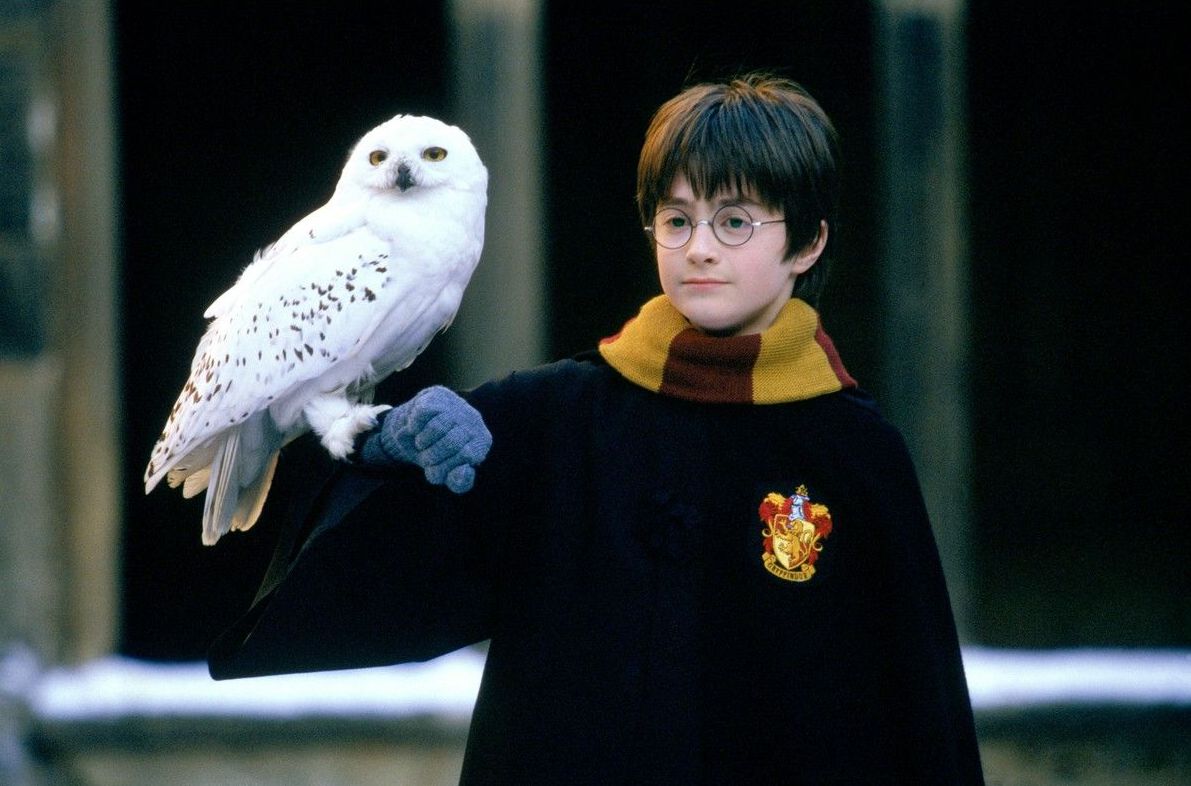 Artes Bohemian - Hedwig, lechuza mágica de Harry Potter