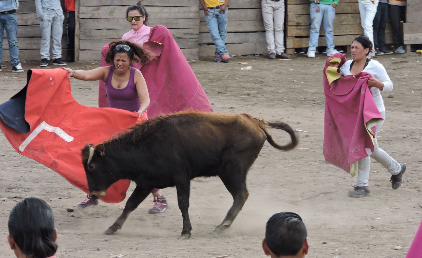 Destreza de mujeres en tradicional corrida de la comunidad San Pablo |  Intercultural | Noticias | El Universo