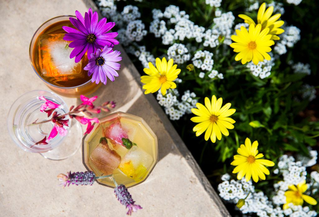 How to incorporate edible flowers into your summer drinks