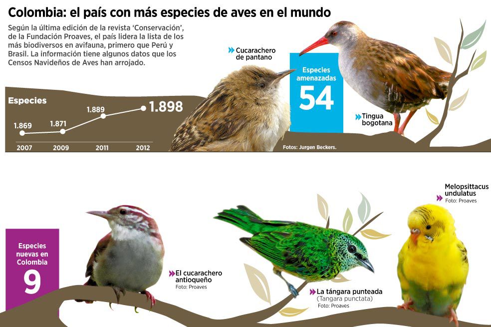 Colombia Pierde Atractivo Para Las Aves Migratorias El Espectador