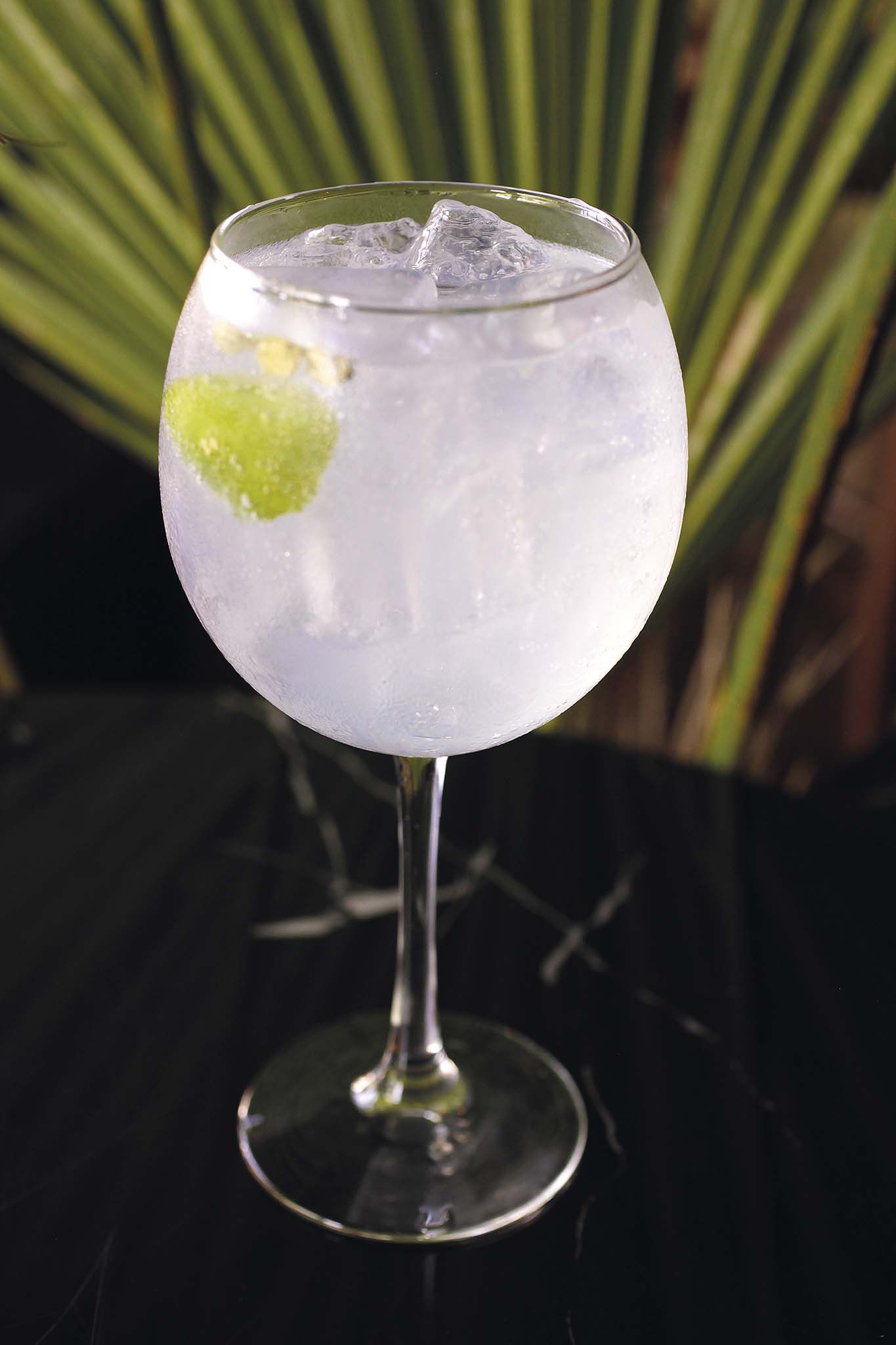 El gin tonic perfecto