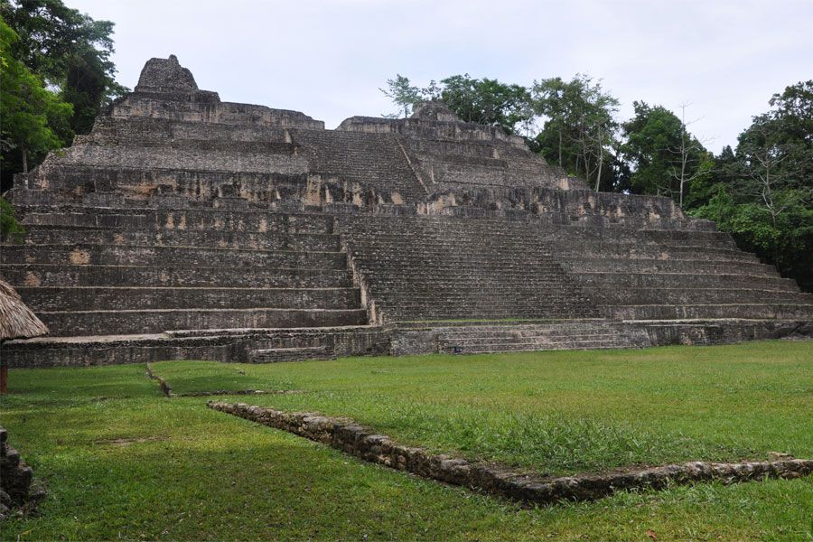 mayas