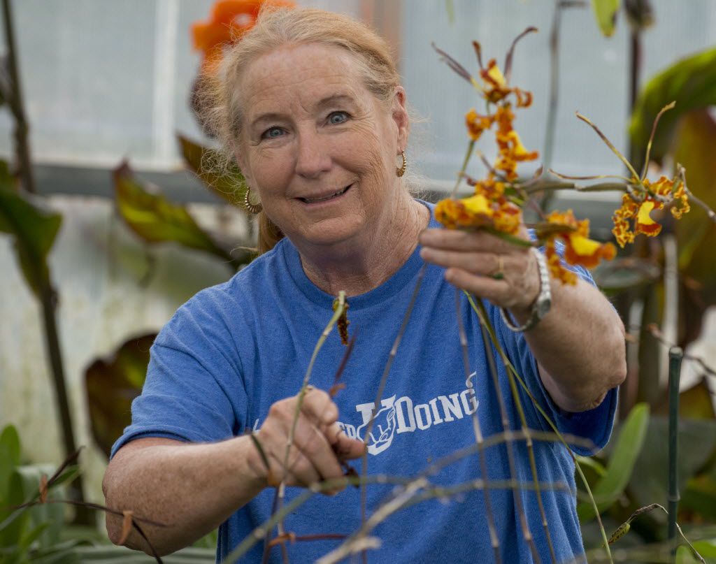 Fort Worth S Orchid Whisperer Will Teach You How To Keep Those Gift Plants Alive