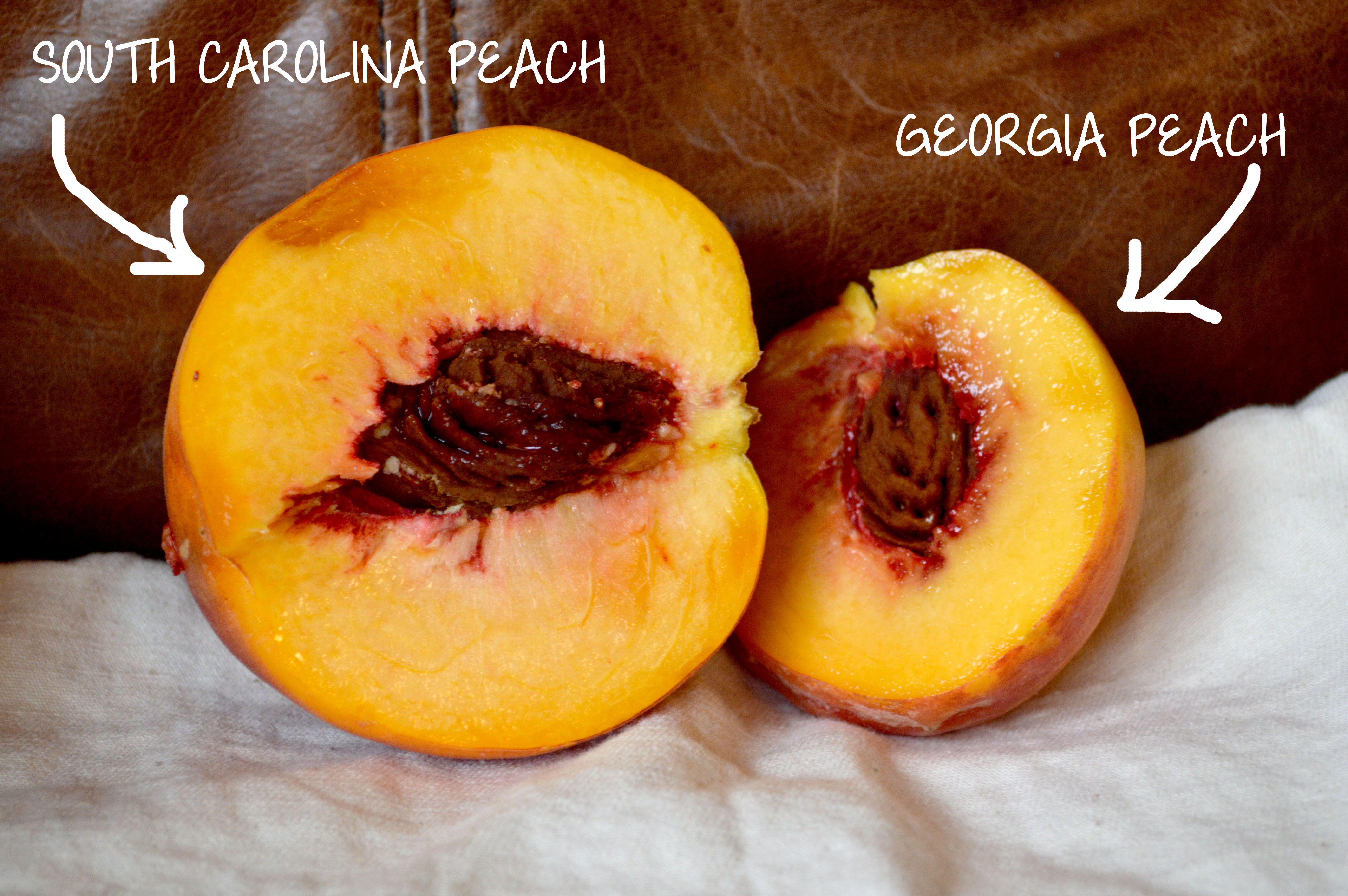 When Is Peach Season In The South?