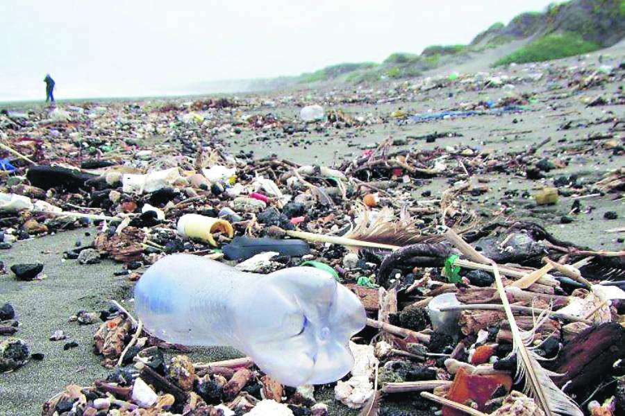 Plástico y cigarros son la principal basura en las playas del país - La  Tercera