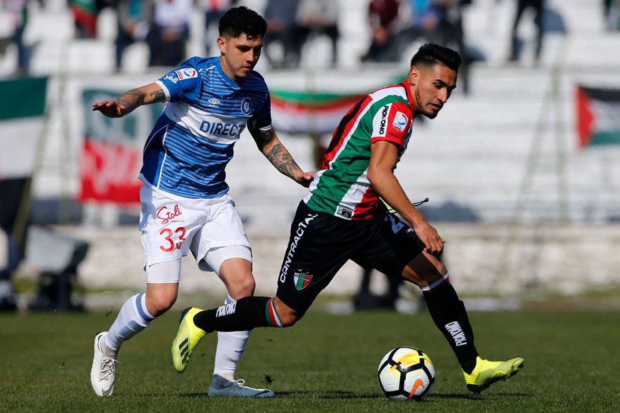 Palestino, Universidad Católica