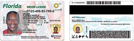 Here's what your new Florida driver license looks like