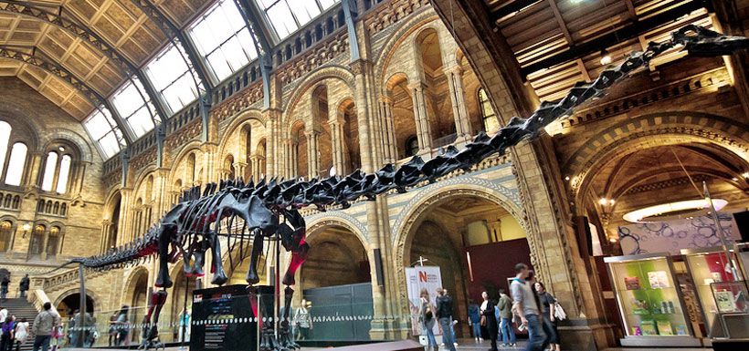 museo de historia natural de londres