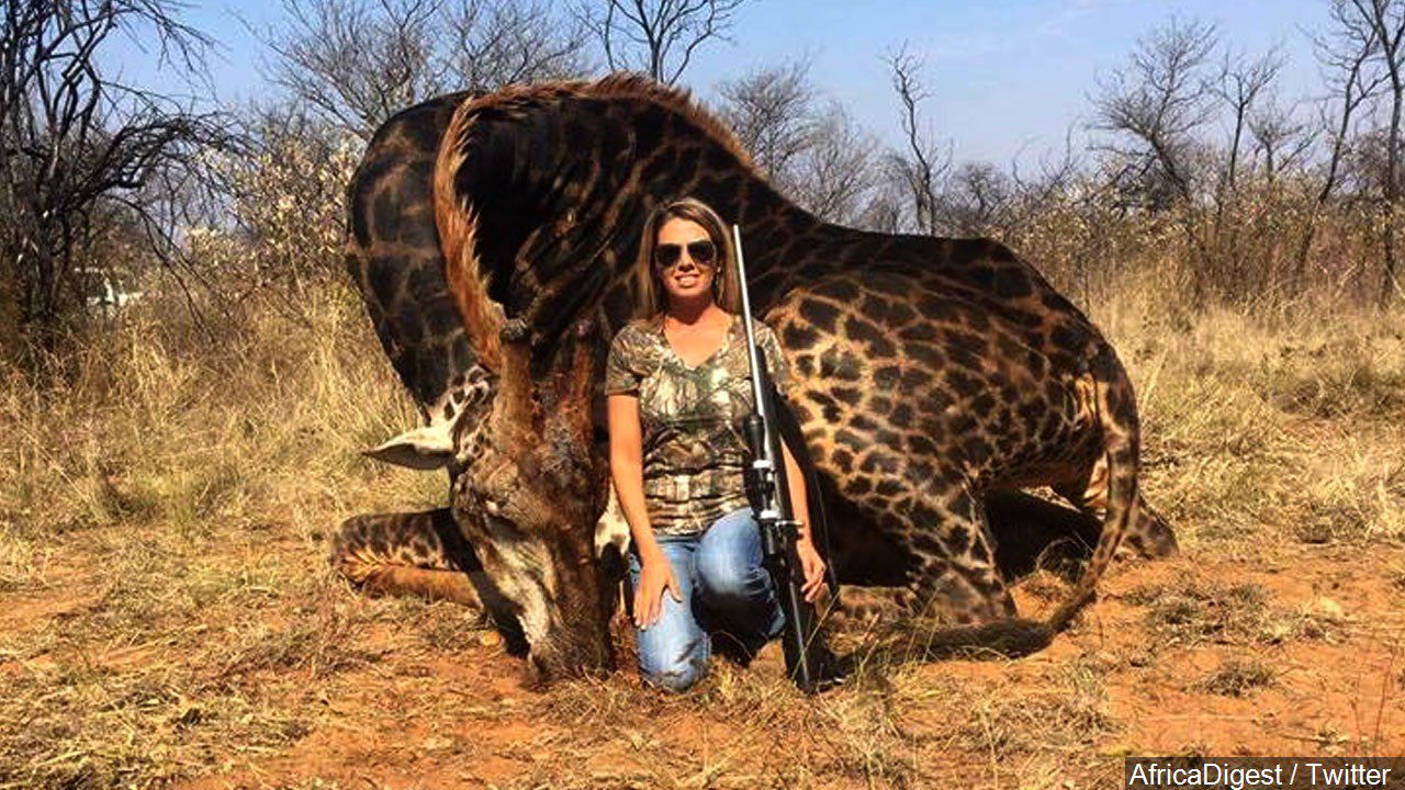 American hunter in viral photo of slain giraffe is proud to hunt