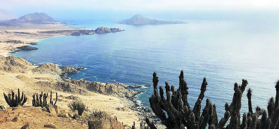 Imagen-vista-mirador-pan-de-azucar-LADERA.jpg