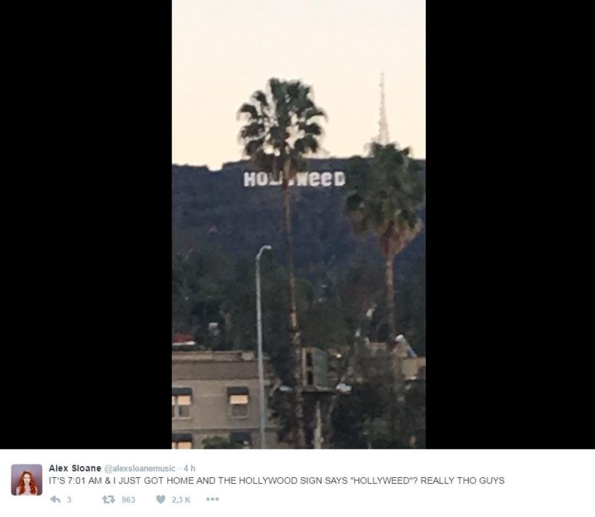 hollyweed-4-840x729.jpg