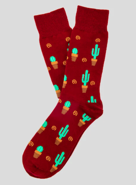 Calcetín Socks Lab cactus