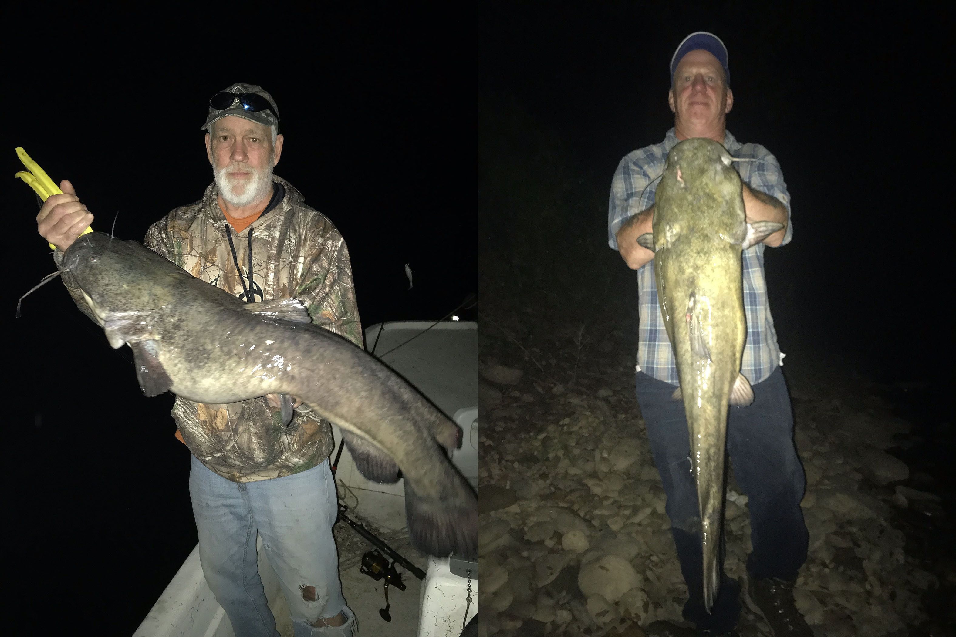 Flathead fever: Anglers target a monster fish now inhabiting the Delaware  River 