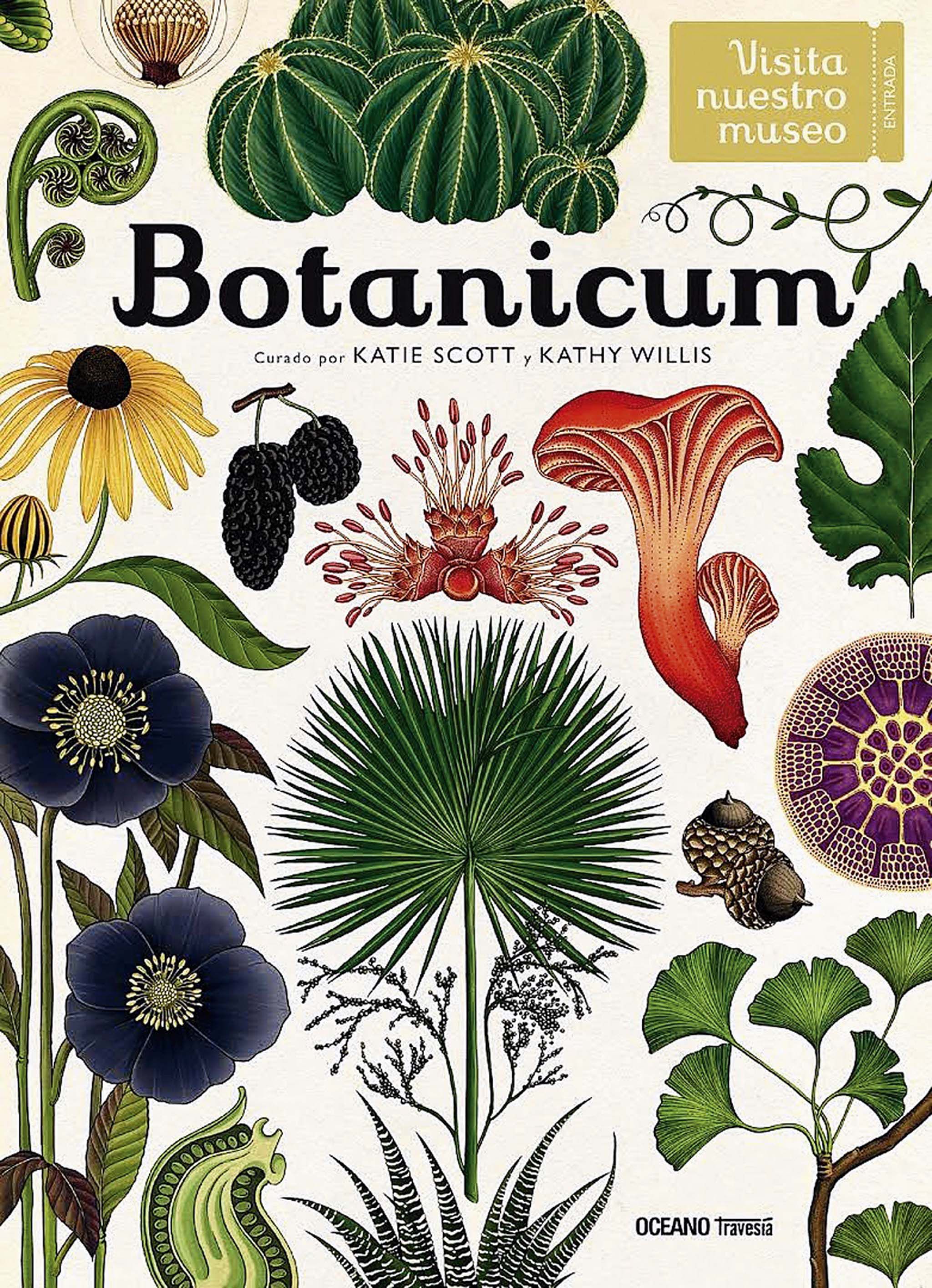 Imagen-botanica.jpg