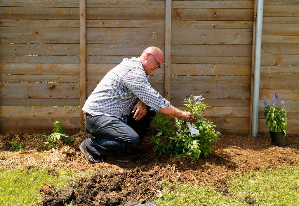 Put Away The Tiller And Try Earth Friendly Sheet Mulching For