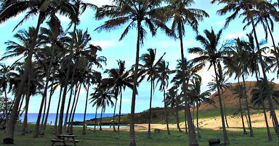 Imagen Isla  de Pascua079.jpg(14829710)