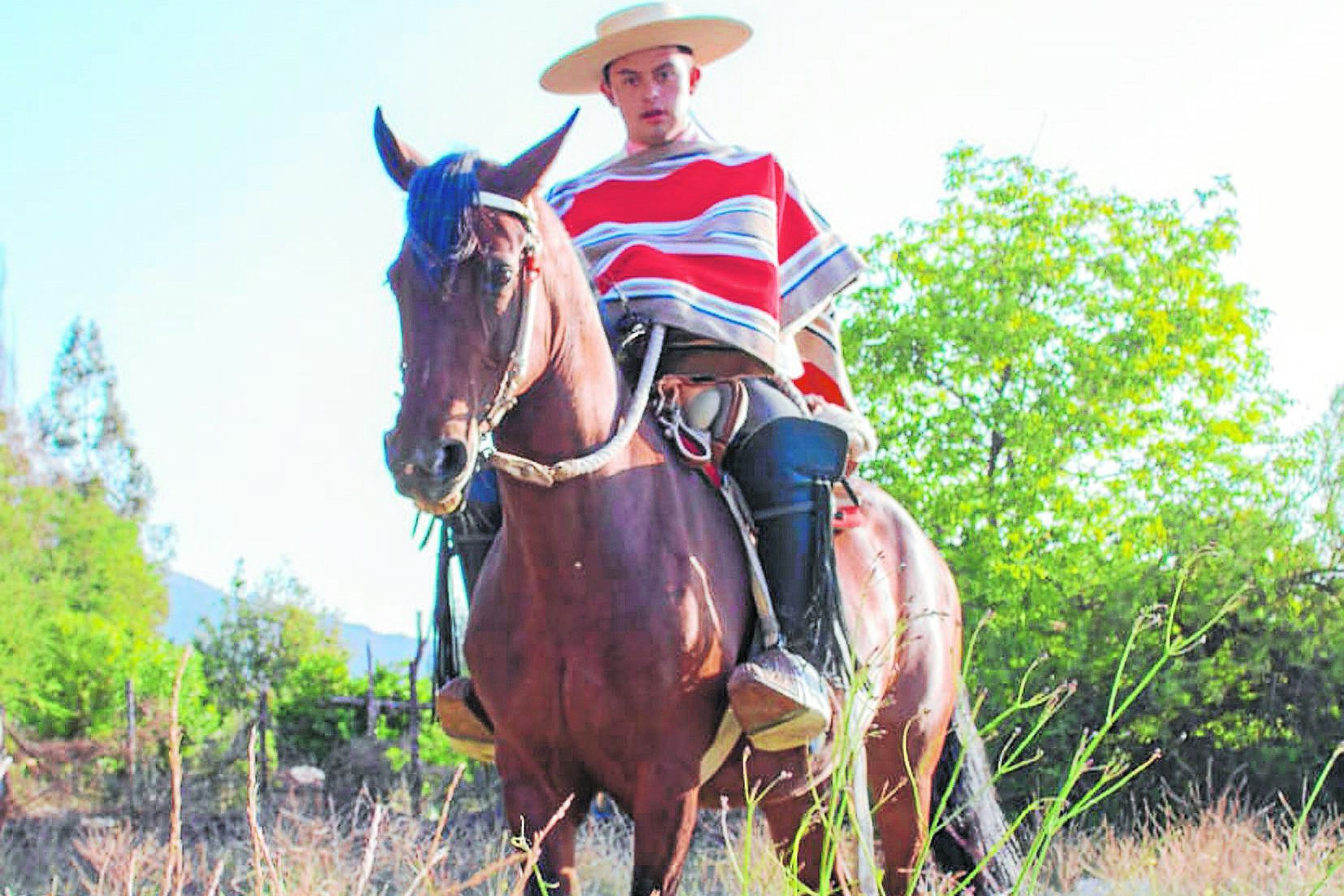 Rodeo / Francisco Sepúlveda