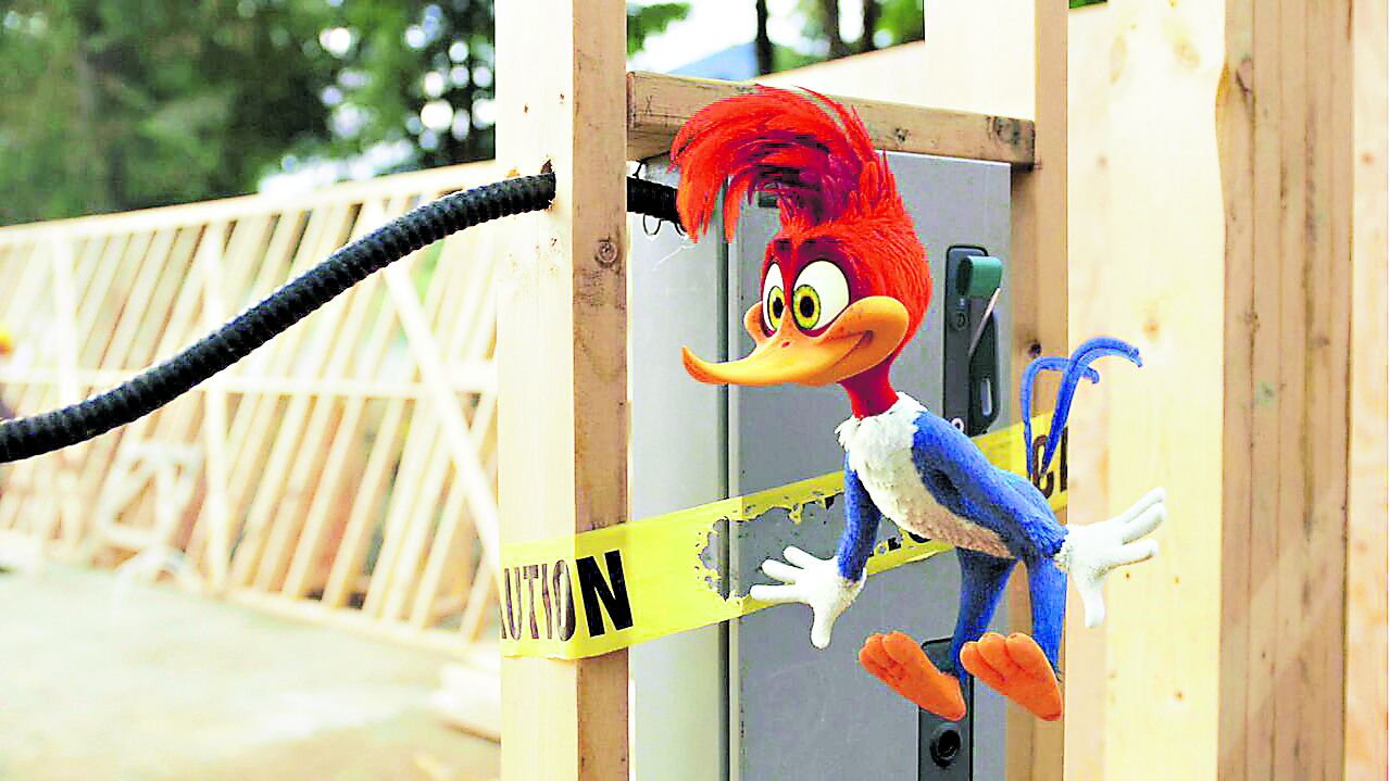 El Pájaro Loco: Universal se prepara para el estreno del live